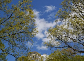 social media management digital content online community manager facebook twitter